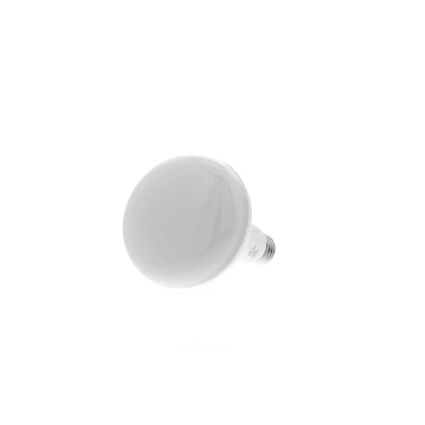 Bombillo de luz blanca Regulable NHB-W2102PK Marca: Nexxt - Imagen 6